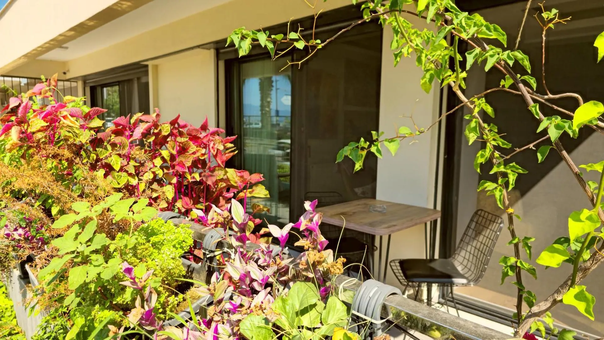 Elegant & Cozy Retreat Home, City Center Gem By The Seaside, Steps From The Tram Izmir 0*,